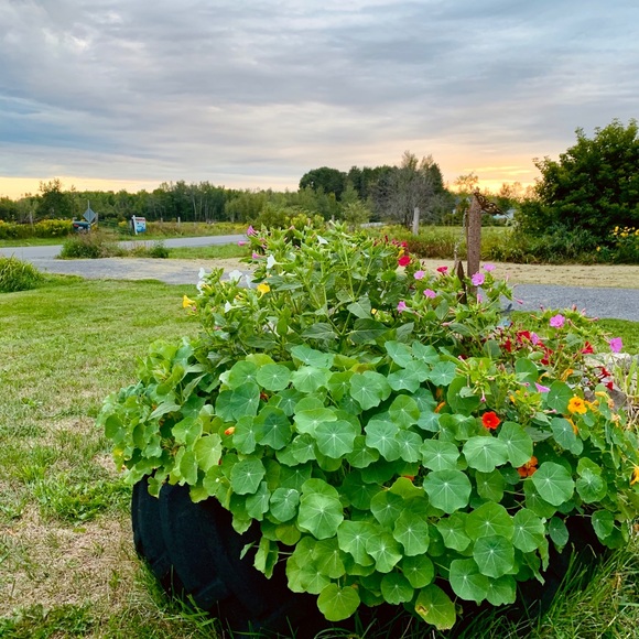 Meet your Posher, Laura - Picture 1 of 1